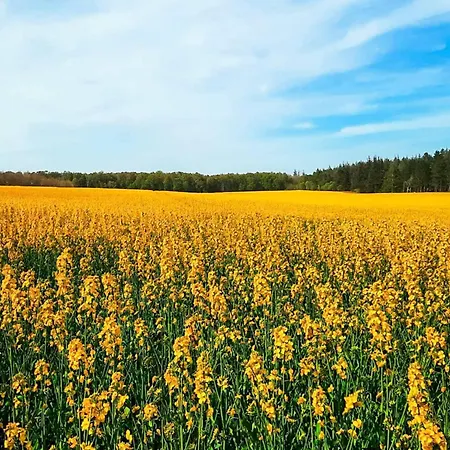 Дом отдыха 6 Person In Glesborg